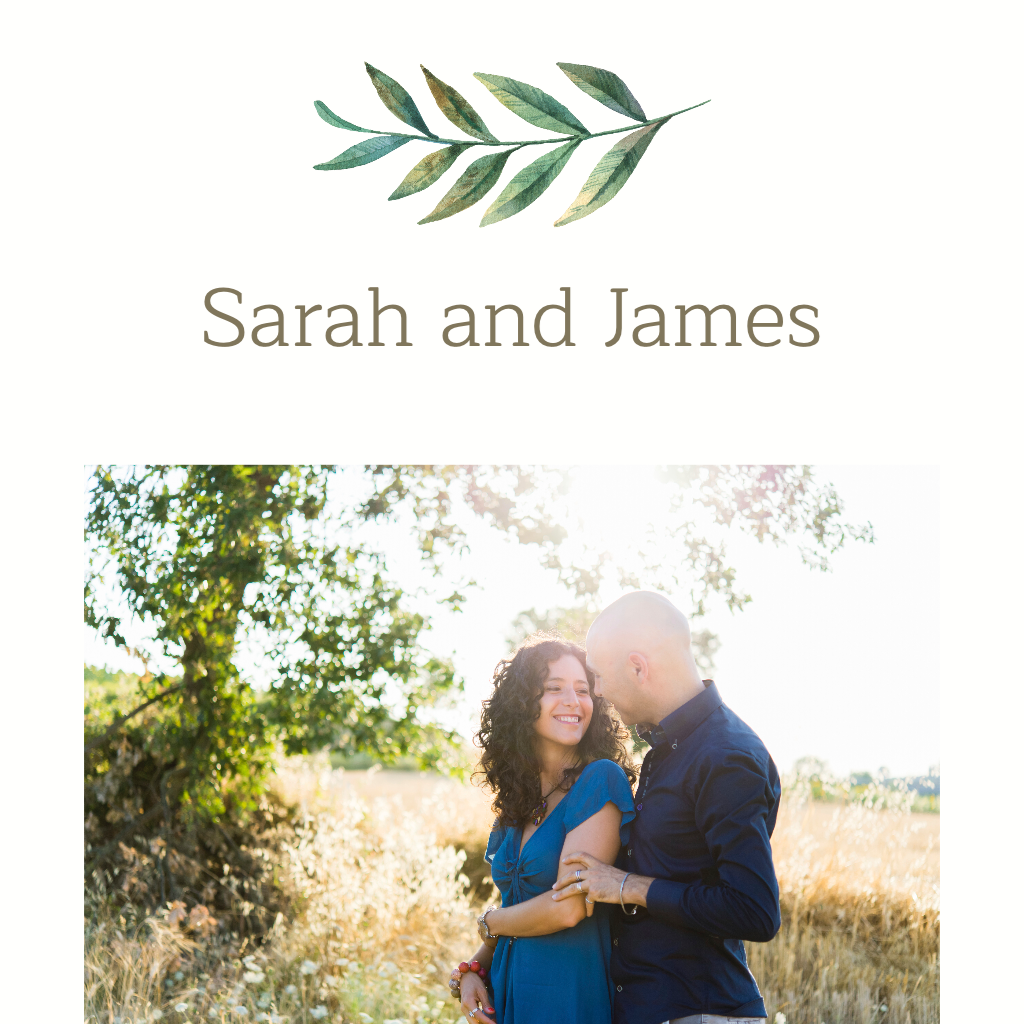 White Background with Green Fern