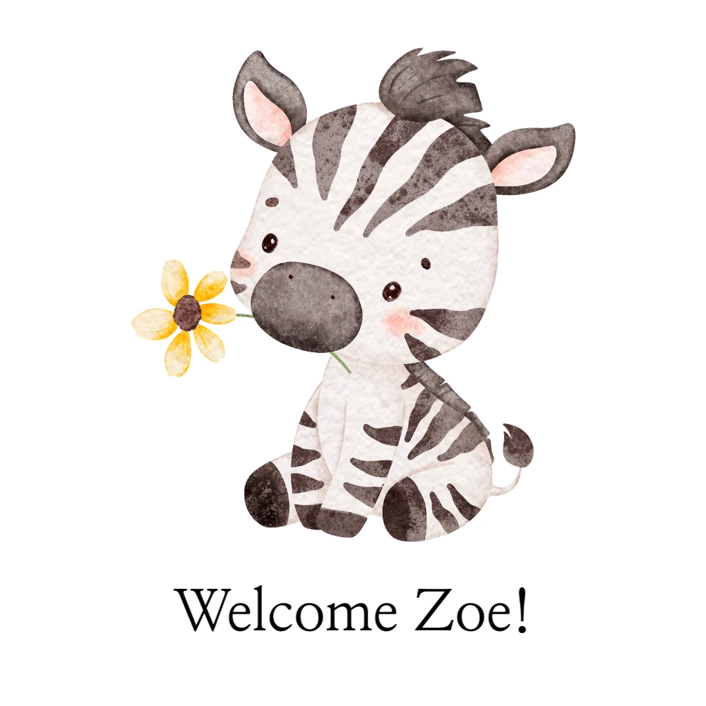 Baby Zebra Baby Shower Baby Shower RSVP theme
