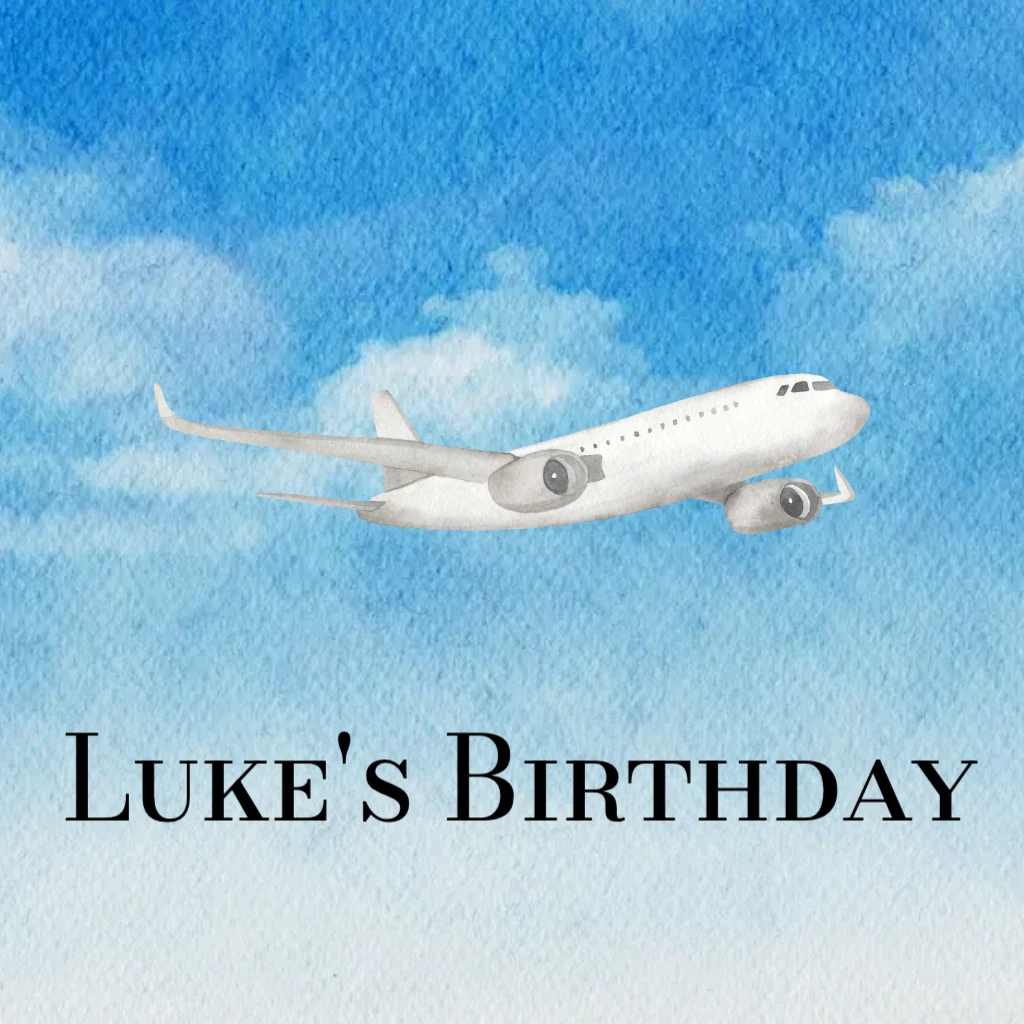 white and grey airplane